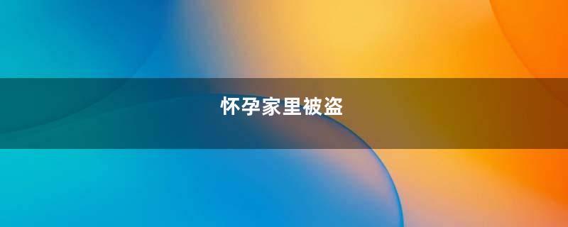 怀孕家里被盗