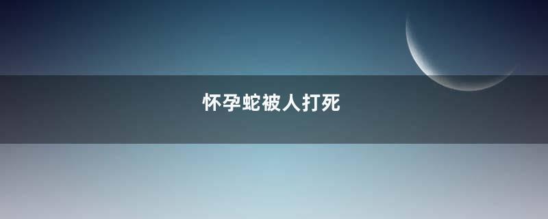 怀孕蛇被人打死