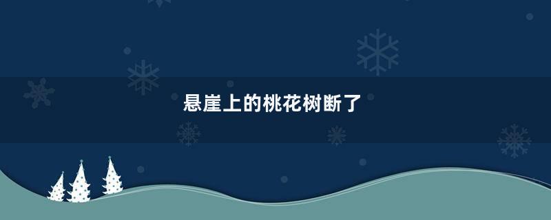 悬崖上的桃花树断了