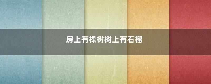 房上有棵树树上有石榴