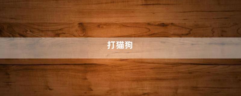 打猫狗