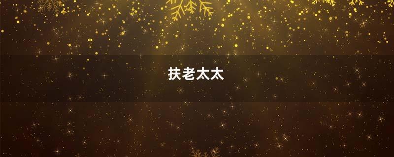 扶老太太