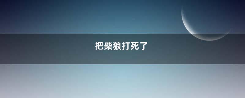 把柴狼打死了