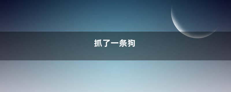 抓了一条狗