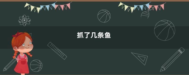 抓了几条鱼