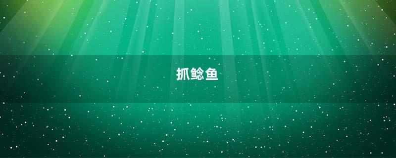 抓鲶鱼