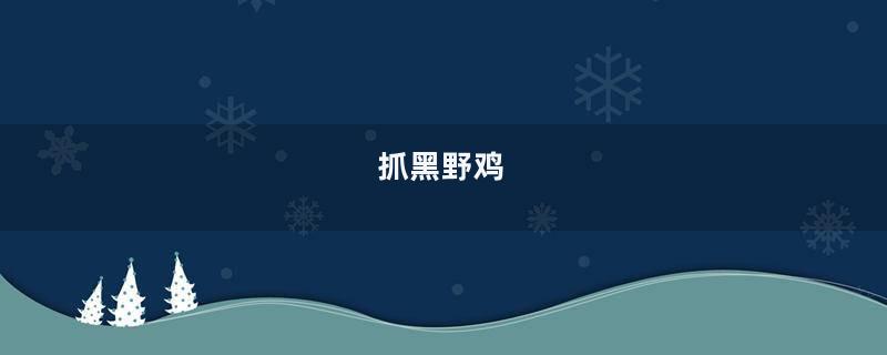 抓黑野鸡