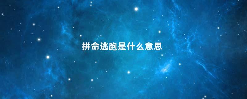 拼命逃跑是什么意思