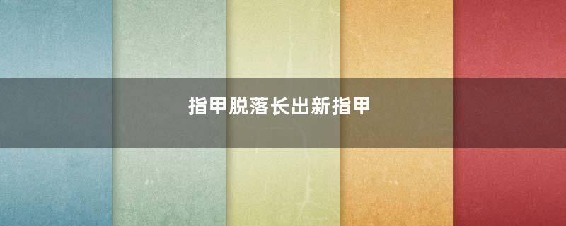 指甲脱落长出新指甲