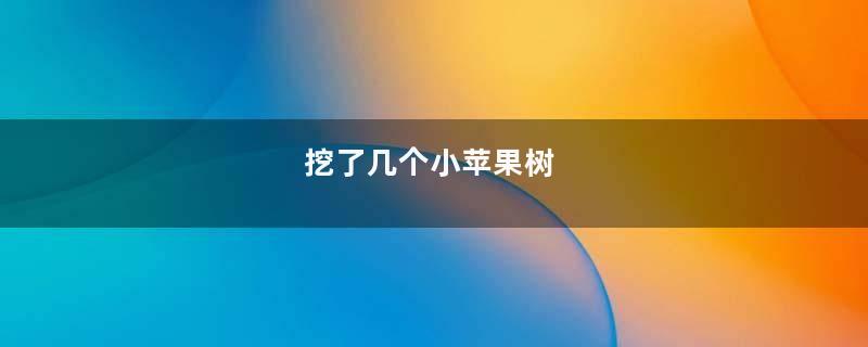 挖了几个小苹果树