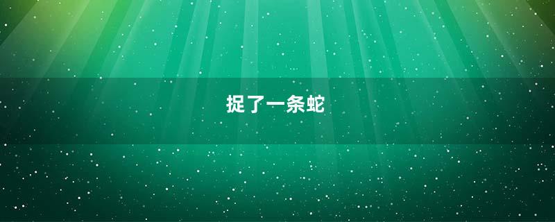 捉了一条蛇
