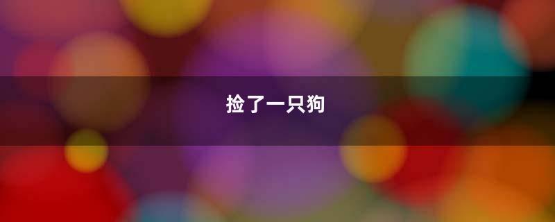 捡了一只狗