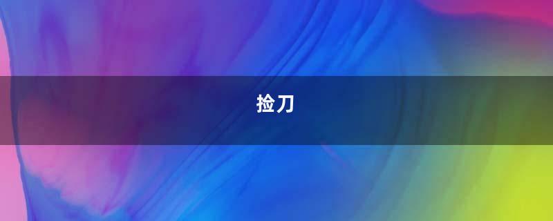 捡刀