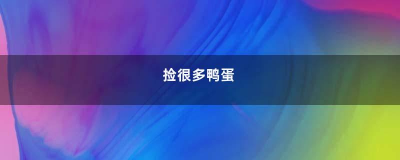 捡很多鸭蛋