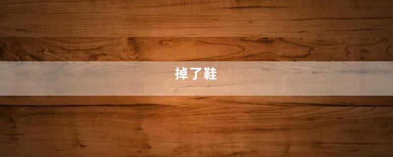 掉了鞋