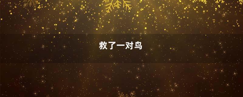 救了一对鸟
