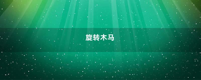旋转木马