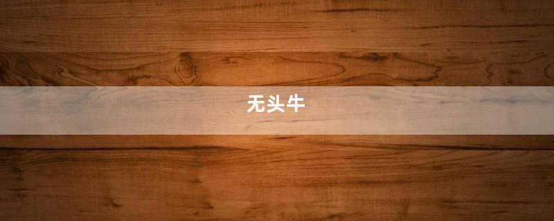 无头牛