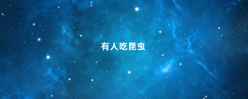 有人吃昆虫