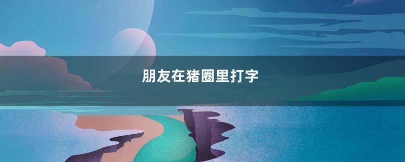 朋友在猪圈里打字