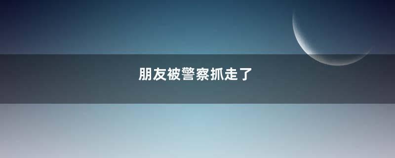 朋友被警察抓走了