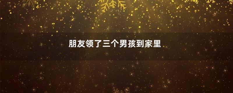 朋友领了三个男孩到家里