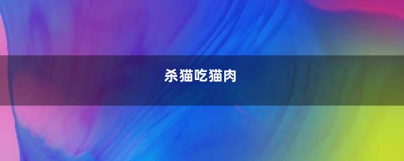杀猫吃猫肉