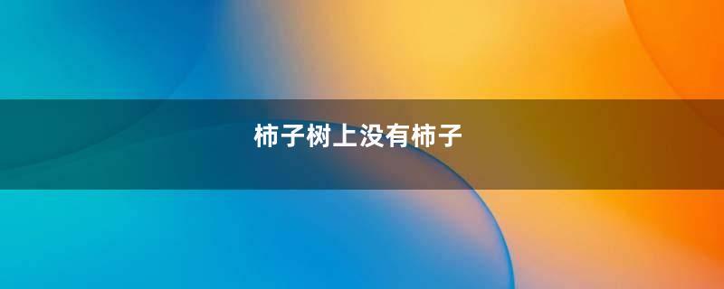 柿子树上没有柿子