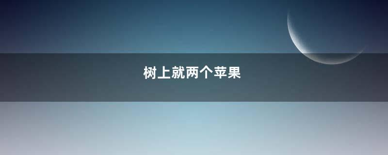树上就两个苹果