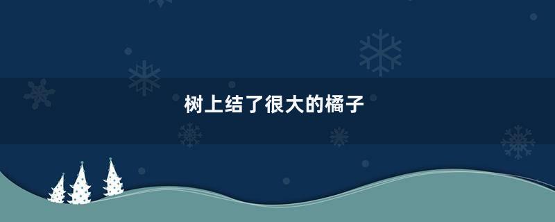 树上结了很大的橘子