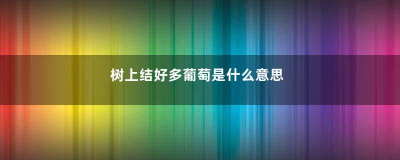 树上结好多葡萄是什么意思