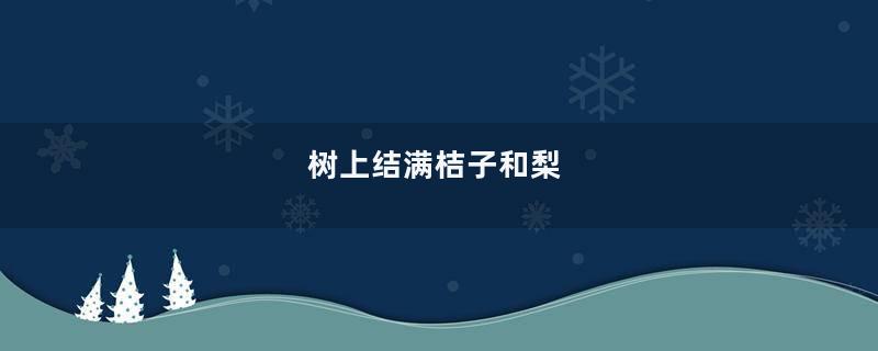 树上结满桔子和梨
