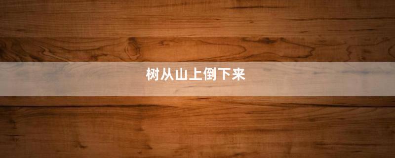 树从山上倒下来