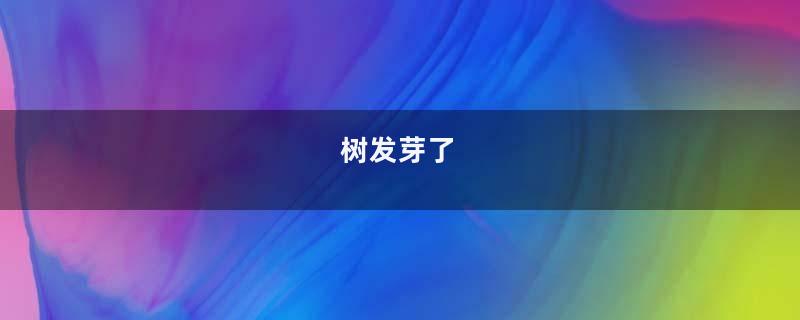 树发芽了