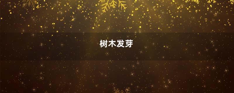 树木发芽