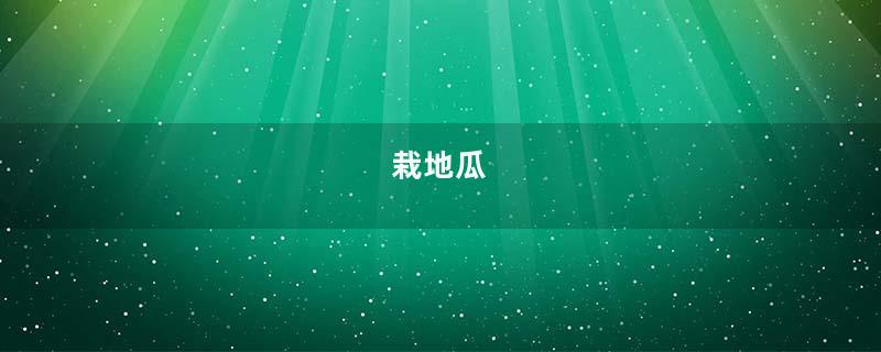 栽地瓜