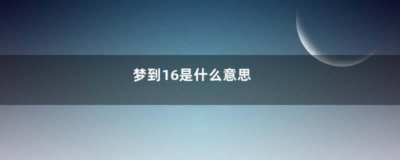 梦到16是什么意思