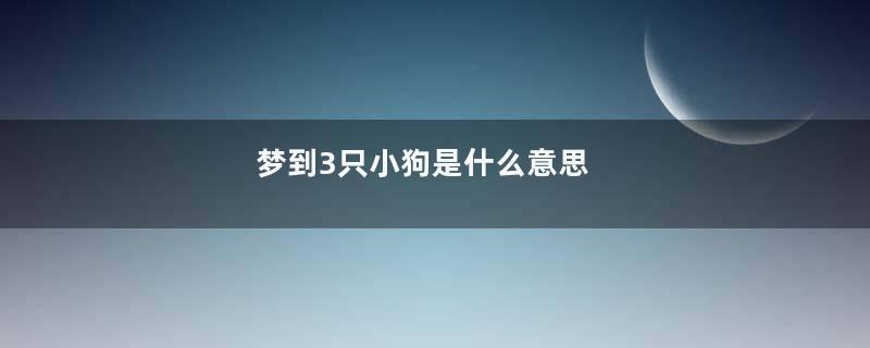 梦到3只小狗是什么意思