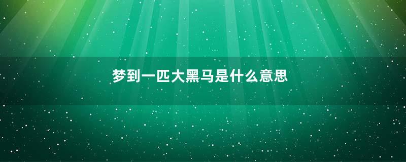 梦到一匹大黑马是什么意思