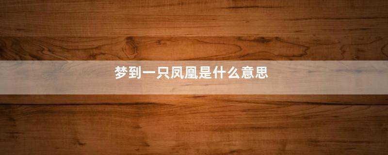 梦到一只凤凰是什么意思
