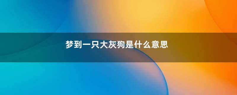 梦到一只大灰狗是什么意思