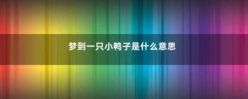 梦到一只小鸭子是什么意思
