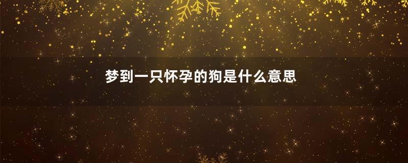 梦到一只怀孕的狗是什么意思
