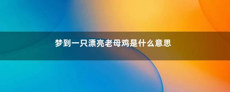 梦到一只漂亮老母鸡是什么意思