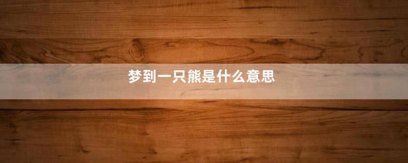 梦到一只熊是什么意思