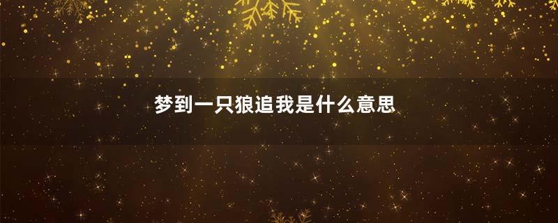 梦到一只狼追我是什么意思