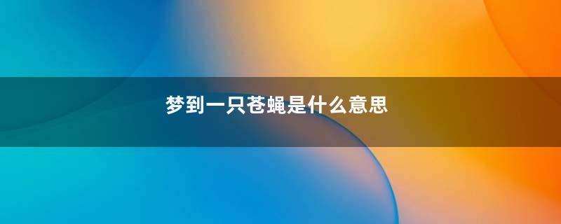 梦到一只苍蝇是什么意思