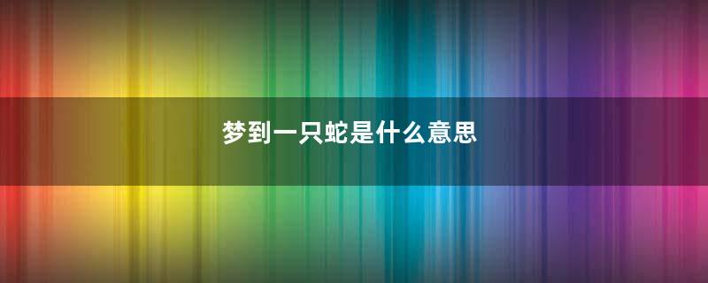 梦到一只蛇是什么意思
