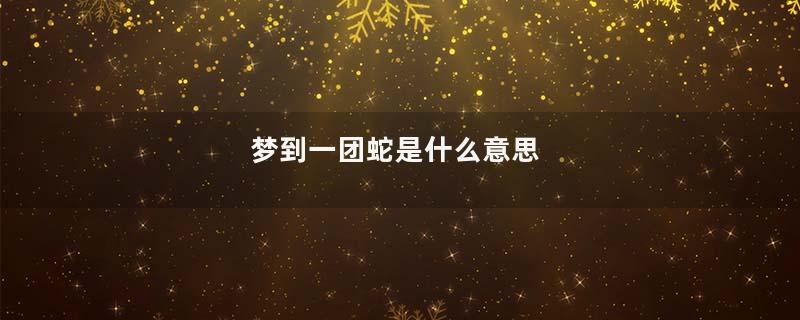 梦到一团蛇是什么意思