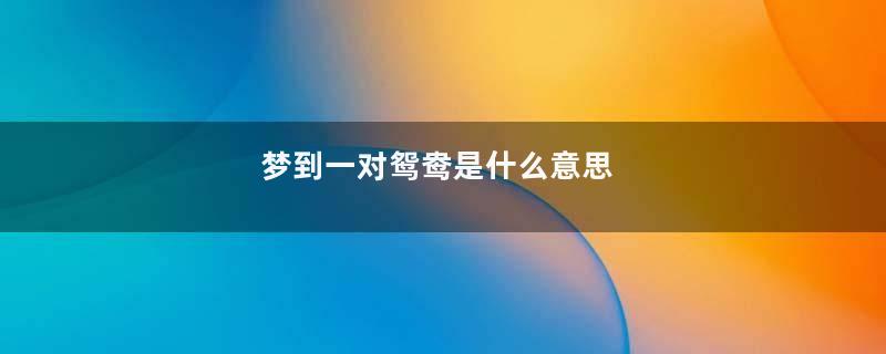 梦到一对鸳鸯是什么意思